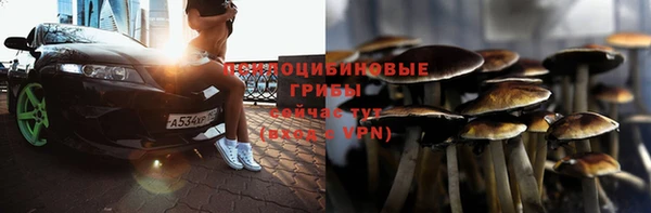 дживик Армянск