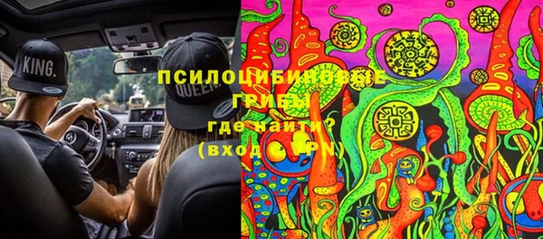 дживик Армянск