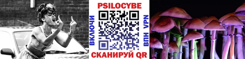 Псилоцибиновые грибы мицелий  Купить закладки  Сургут 